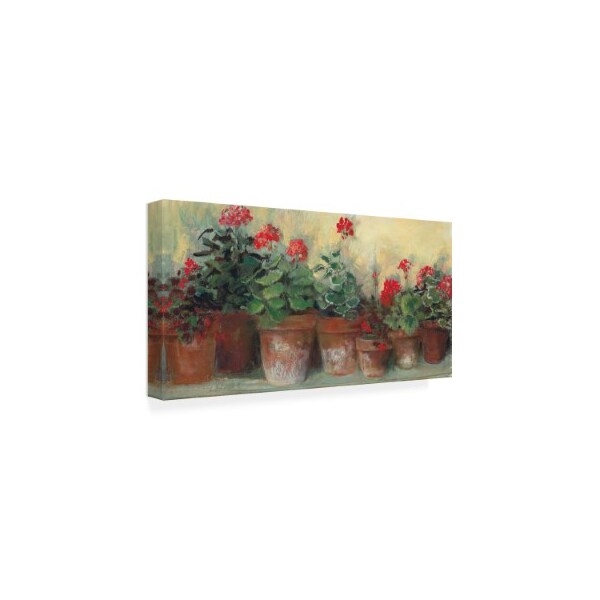 Trademark Fine Art Carol Rowan 'Kathleens Geraniums' Canvas Art, 12x24 - WAP12390-C1224GG