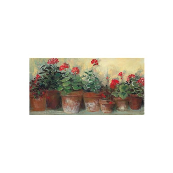 Trademark Fine Art Carol Rowan 'Kathleens Geraniums' Canvas Art, 12x24 - WAP12390-C1224GG
