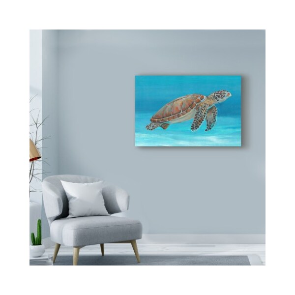 Trademark Fine Art Tim Otoole 'Ocean Sea Turtle I' Canvas Art, 12x19 - WAG00660-C1219GG