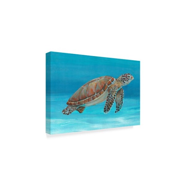 Trademark Fine Art Tim Otoole 'Ocean Sea Turtle I' Canvas Art, 12x19 - WAG00660-C1219GG