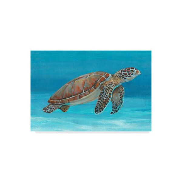 Trademark Fine Art Tim Otoole 'Ocean Sea Turtle I' Canvas Art, 12x19 - WAG00660-C1219GG