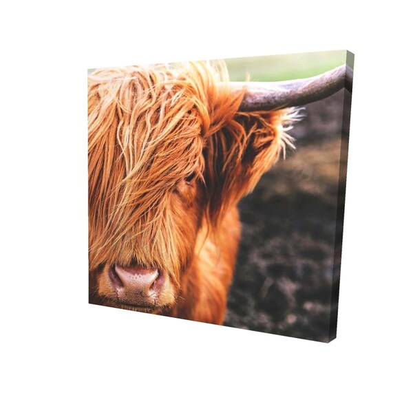 Fondo 12 x 12 in. Portrait Highland Cow-Print on Canvas - FO2793338