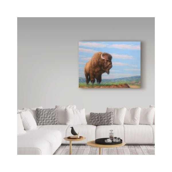 Trademark Fine Art James W. Johnson 'American Bison' Canvas Art, 18x24 - ALI36288-C1824GG