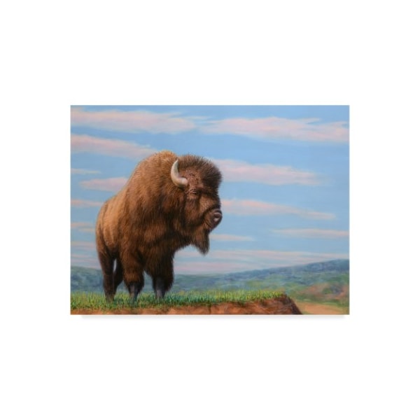 Trademark Fine Art James W. Johnson 'American Bison' Canvas Art, 18x24 - ALI36288-C1824GG