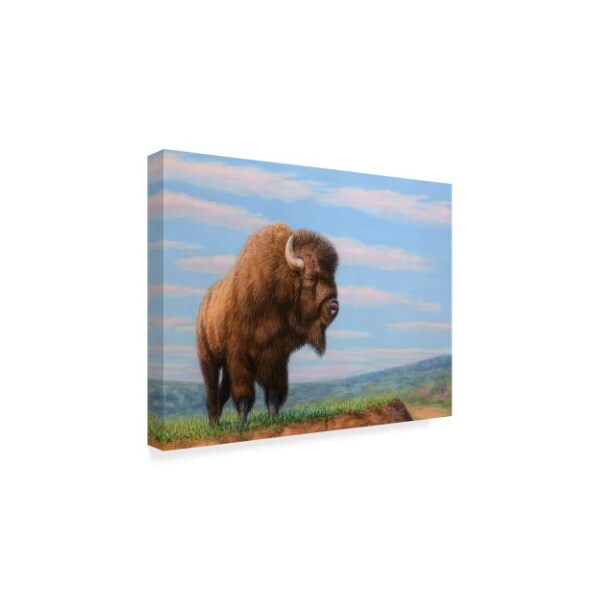Trademark Fine Art James W. Johnson 'American Bison' Canvas Art, 18x24 - ALI36288-C1824GG