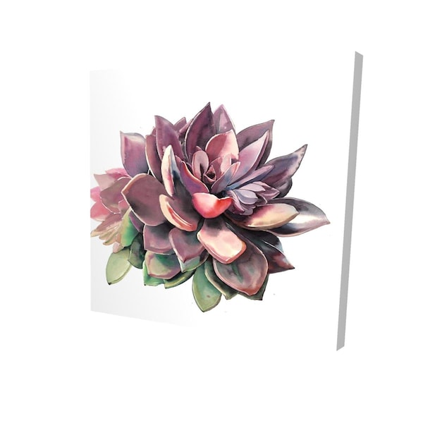 Begin Home Decor 16 x 16 in. Succulent-Print on Canvas - 2080-1616-FL335
