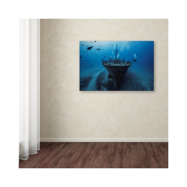 Trademark Fine Art Barathieu Gabriel 'Hai Siang Wreck' Canvas Art, 16x24 - 1X00330-C1624GG