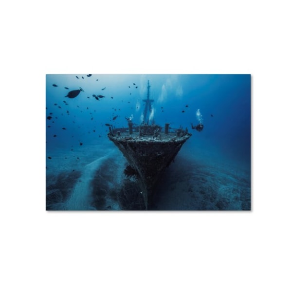 Trademark Fine Art Barathieu Gabriel 'Hai Siang Wreck' Canvas Art, 16x24 - 1X00330-C1624GG