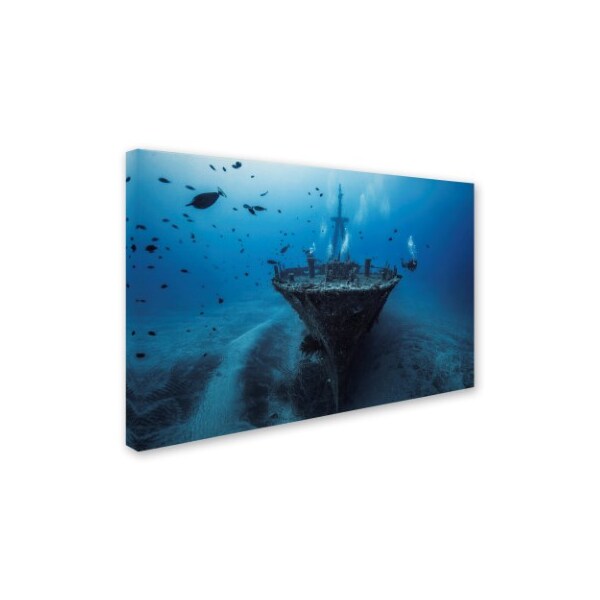 Trademark Fine Art Barathieu Gabriel 'Hai Siang Wreck' Canvas Art, 16x24 - 1X00330-C1624GG