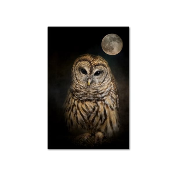 Trademark Fine Art Jai Johnson 'Barred Owl And The Moon' Canvas Art, 12x19 - ALI13747-C1219GG