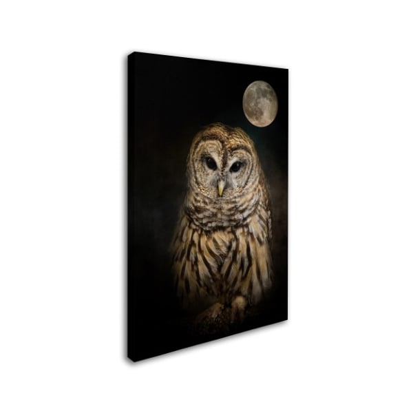 Trademark Fine Art Jai Johnson 'Barred Owl And The Moon' Canvas Art, 12x19 - ALI13747-C1219GG