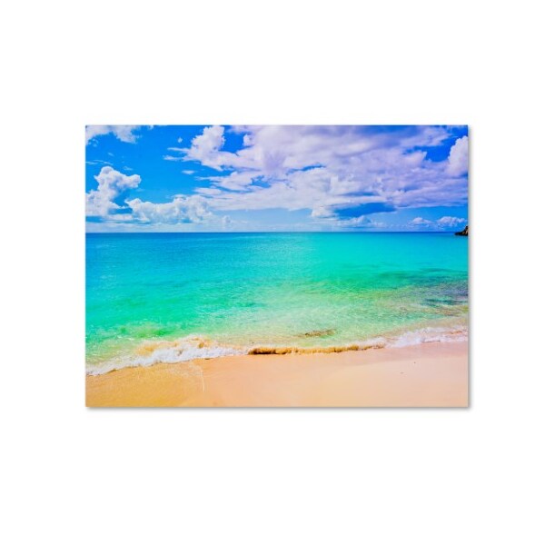 Trademark Fine Art Preston 'Maho Beach' Canvas Art, 24x32 - EM272-C2432GG