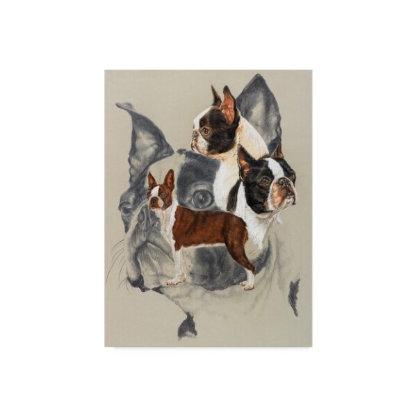 Trademark Fine Art Barbara Keith 'Boston Terrier Portrait' Canvas Art, 18x24 - ALI25299-C1824GG