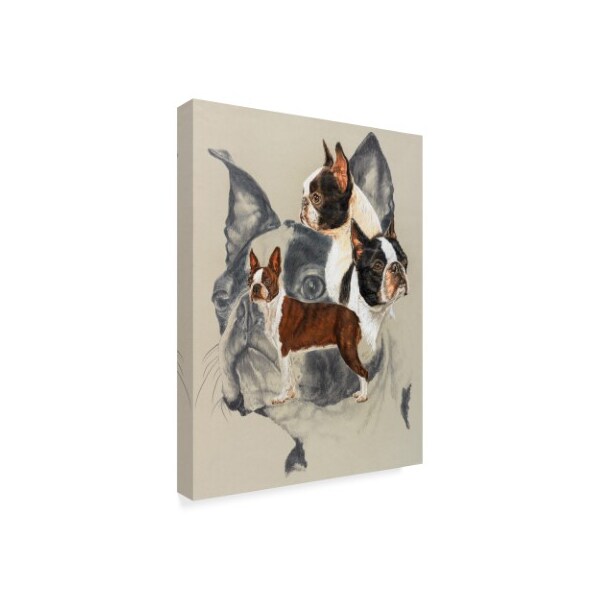 Trademark Fine Art Barbara Keith 'Boston Terrier Portrait' Canvas Art, 18x24 - ALI25299-C1824GG