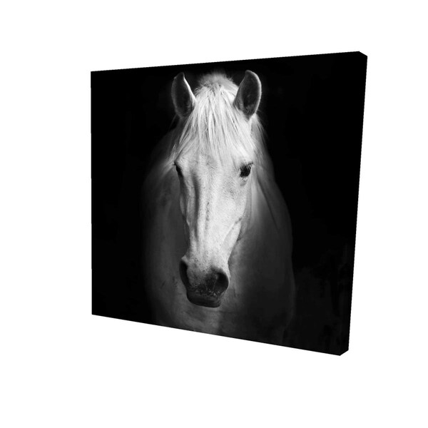 Begin Home Decor 32 x 32 in. Monochrome Horse-Print on Canvas - 2080-3232-PH8