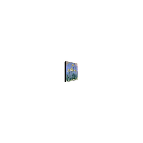 Trademark Fine Art Claude Monet 'The Yellow Irises, 1918-25' Canvas Art, 35x47 - BL0584-C3547GG