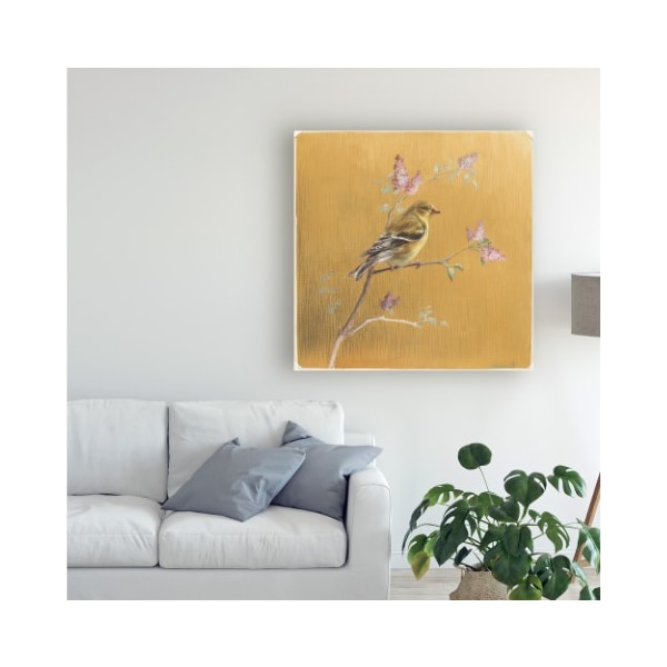 Trademark Fine Art Danhui Nai 'Female Goldfinch On Gold' Canvas Art, 14x14 - WAP10768-C1414GG