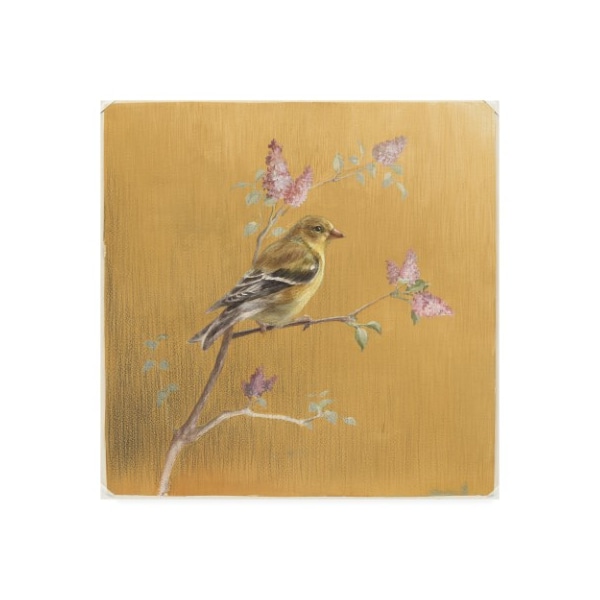 Trademark Fine Art Danhui Nai 'Female Goldfinch On Gold' Canvas Art, 14x14 - WAP10768-C1414GG