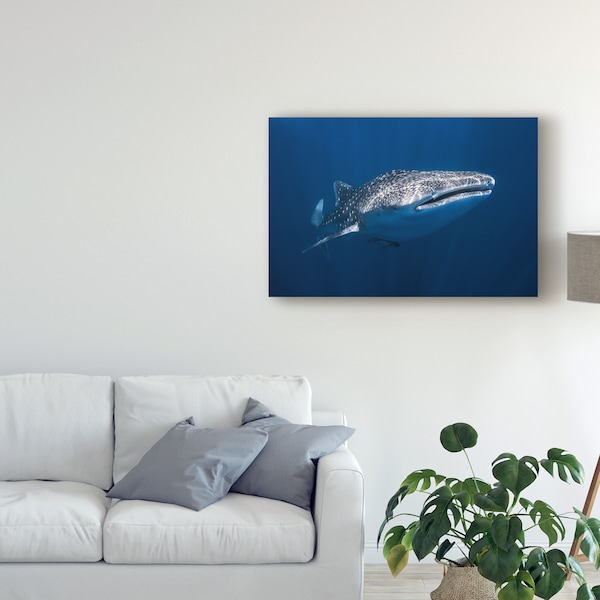 Trademark Fine Art Barathieu Gabriel 'Whale Shark' Canvas Art, 16x24 - 1X07783-C1624GG