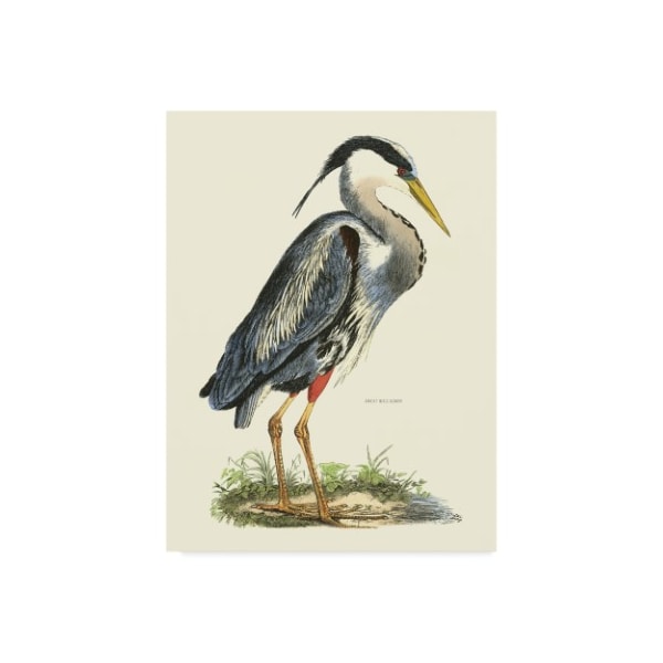 Trademark Fine Art John Selby 'Custom Great Blue Heron' Canvas Art, 14x19 - WAG02539-C1419GG