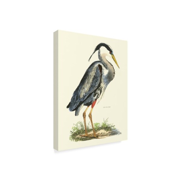 Trademark Fine Art John Selby 'Custom Great Blue Heron' Canvas Art, 14x19 - WAG02539-C1419GG
