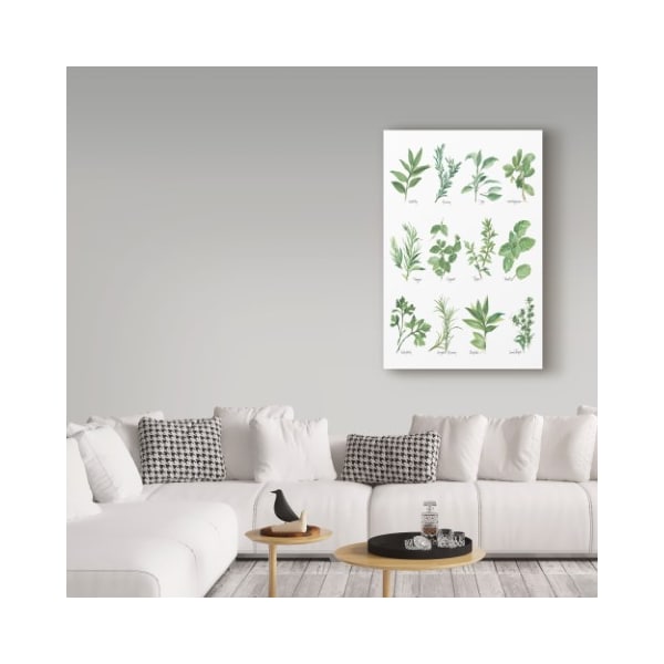Trademark Fine Art Chris Paschke 'Herb Chart' Canvas Art, 12x19 - WAP05989-C1219GG