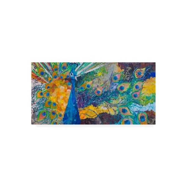Trademark Fine Art Elizabeth St. Hilaire 'Percy Peacock Ii' Canvas Art, 10x19 - WAG10813-C1019GG