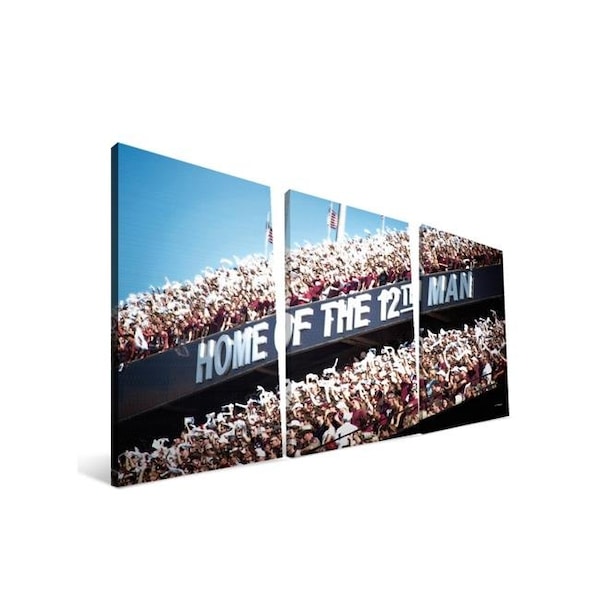 Paulson Designs Texas A&M 16x36 Kyle Field Canvas - TAMST1636