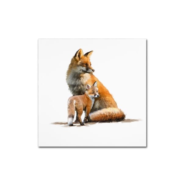 Trademark Fine Art The Macneil Studio 'Fox' Canvas Art, 35x35 - ALI9011-C3535GG