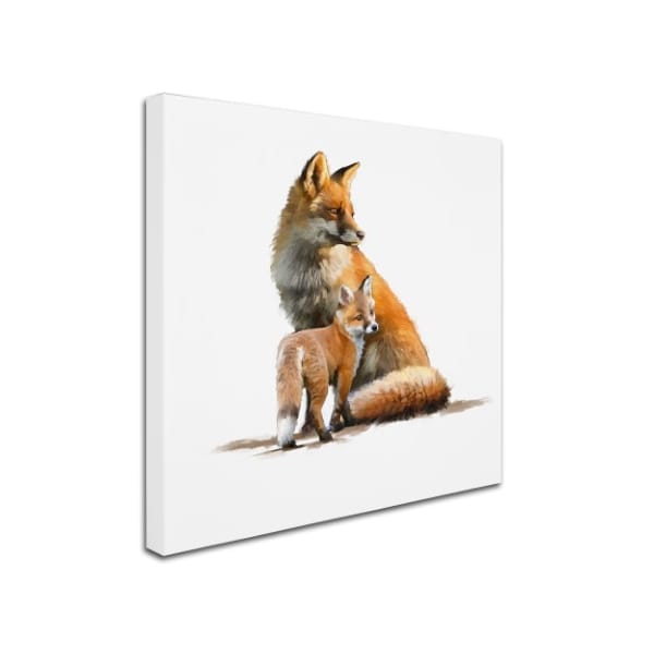 Trademark Fine Art The Macneil Studio 'Fox' Canvas Art, 35x35 - ALI9011-C3535GG