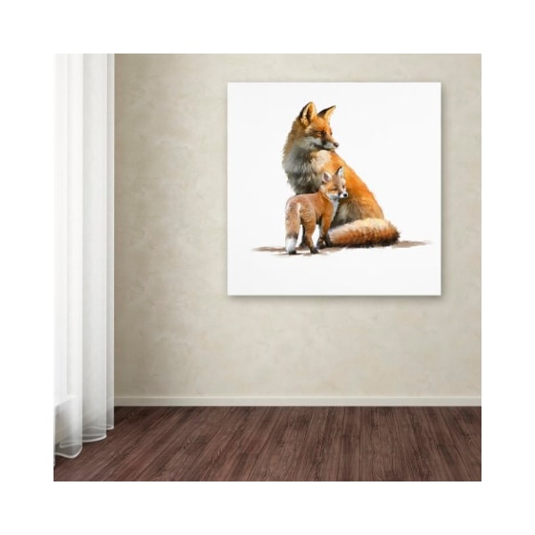 Trademark Fine Art The Macneil Studio 'Fox' Canvas Art, 35x35 - ALI9011-C3535GG