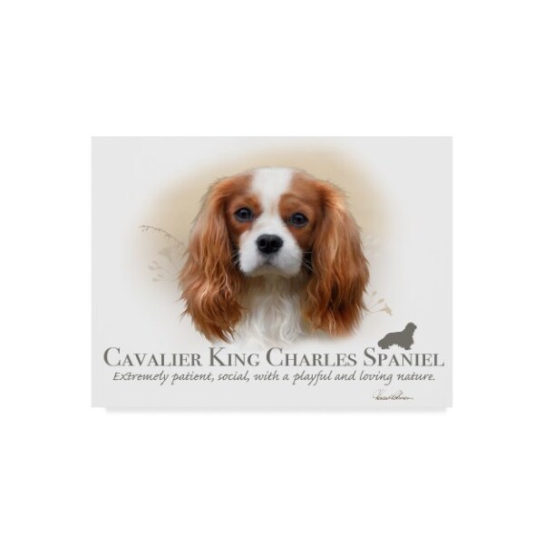 Trademark Fine Art Howard Robinson 'Cavalier King Charles Spaniel' Canvas Art, 14x19 - ALI24063-C1419GG