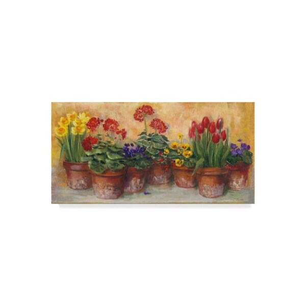 Trademark Fine Art Carol Rowan 'Spring In The Greenhouse' Canvas Art, 12x24 - WAP04550-C1224GG