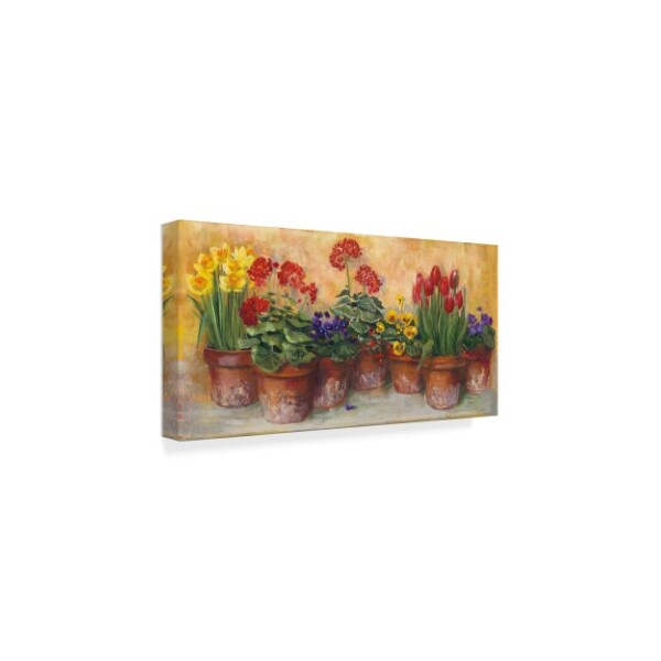 Trademark Fine Art Carol Rowan 'Spring In The Greenhouse' Canvas Art, 12x24 - WAP04550-C1224GG