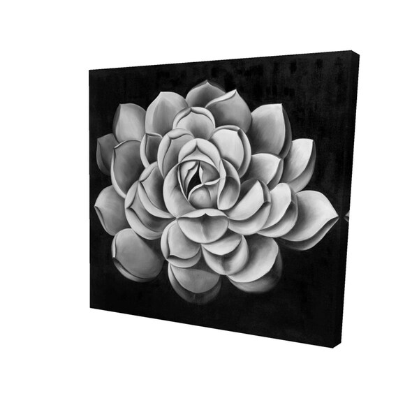 Fondo 16 x 16 in. Black & White Succulent-Print on Canvas - FO2786580