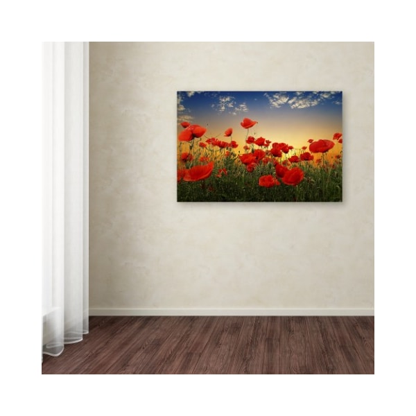 Trademark Fine Art Albena Markova 'Poppies' Canvas Art, 22x32 - 1X02014-C2232GG