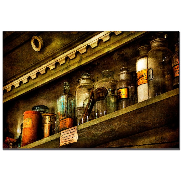 Trademark Fine Art Lois Bryan 'The Olde Apothecary Shop' Canvas Art, 16x24 - LBR083-C1624GG