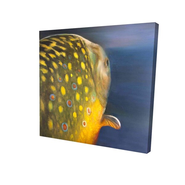 Fondo 32 x 32 in. Golden Trout Fish-Print on Canvas - FO2792313