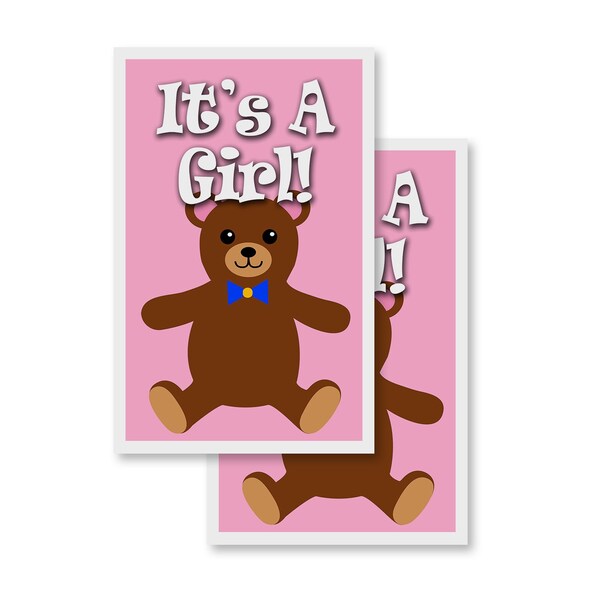 Signmission It's A Girl!, Vinyl Decals Only 24 Inch x 36 Inch, Vinyl Decal, 2PK - DSB-2436-2PACK-IT'S A GIRL!