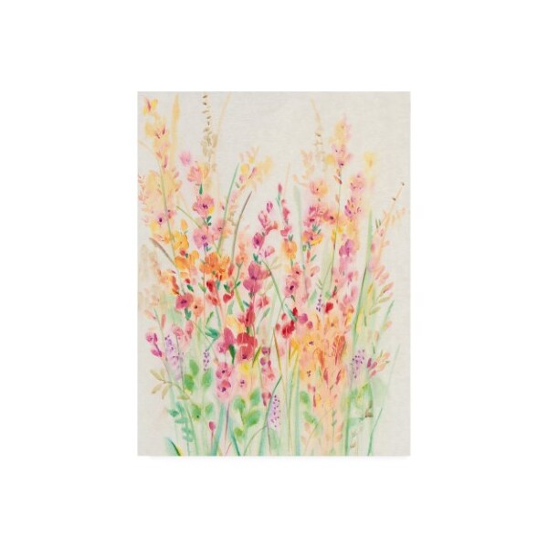 Trademark Fine Art Tim Otoole 'Brilliant Floral I' Canvas Art, 14x19 - WAG09964-C1419GG