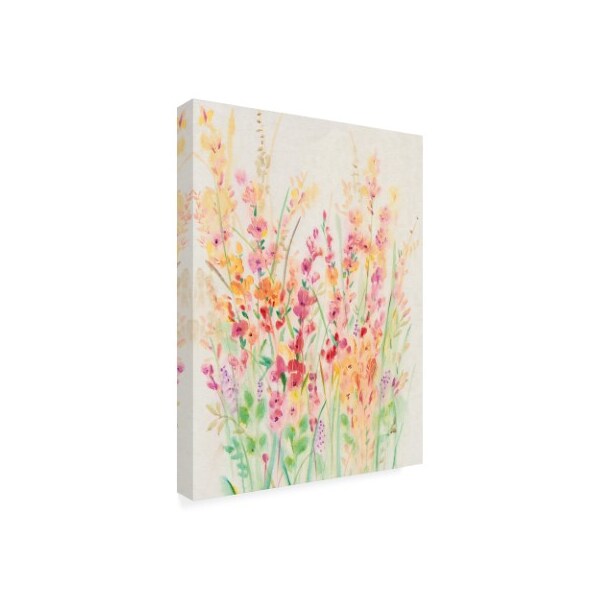 Trademark Fine Art Tim Otoole 'Brilliant Floral I' Canvas Art, 14x19 - WAG09964-C1419GG