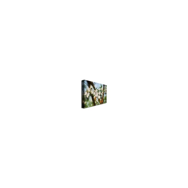 Trademark Fine Art Lois Bryan 'Dogwood Tree' Canvas Art, 16x24 - LBR0122-C1624GG