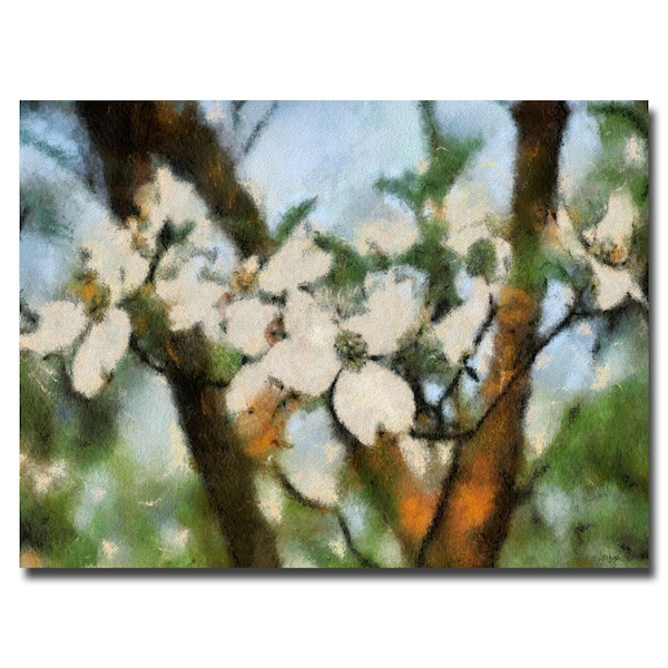 Trademark Fine Art Lois Bryan 'Dogwood Tree' Canvas Art, 16x24 - LBR0122-C1624GG