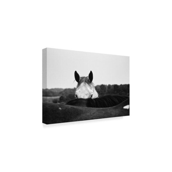 Trademark Fine Art Aledanda 'Flirt White Horse' Canvas Art, 22x32 - WAP04714-C2232GG