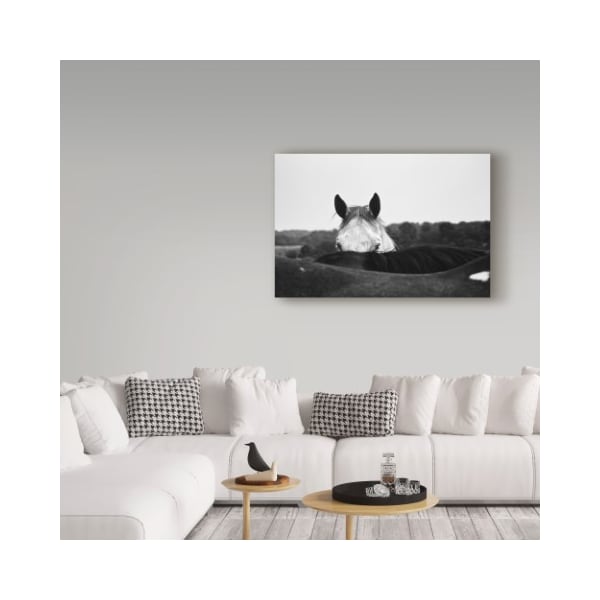Trademark Fine Art Aledanda 'Flirt White Horse' Canvas Art, 22x32 - WAP04714-C2232GG