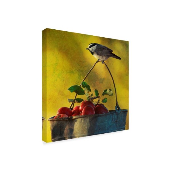 Trademark Fine Art Chris Vest 'Apples And Chickadee' Canvas Art, 14x14 - WAG03329-C1414GG