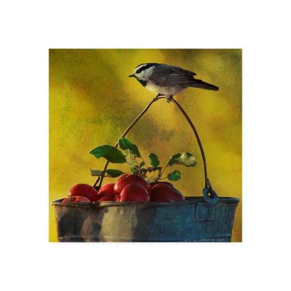Trademark Fine Art Chris Vest 'Apples And Chickadee' Canvas Art, 14x14 - WAG03329-C1414GG