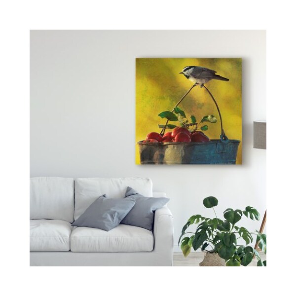 Trademark Fine Art Chris Vest 'Apples And Chickadee' Canvas Art, 14x14 - WAG03329-C1414GG