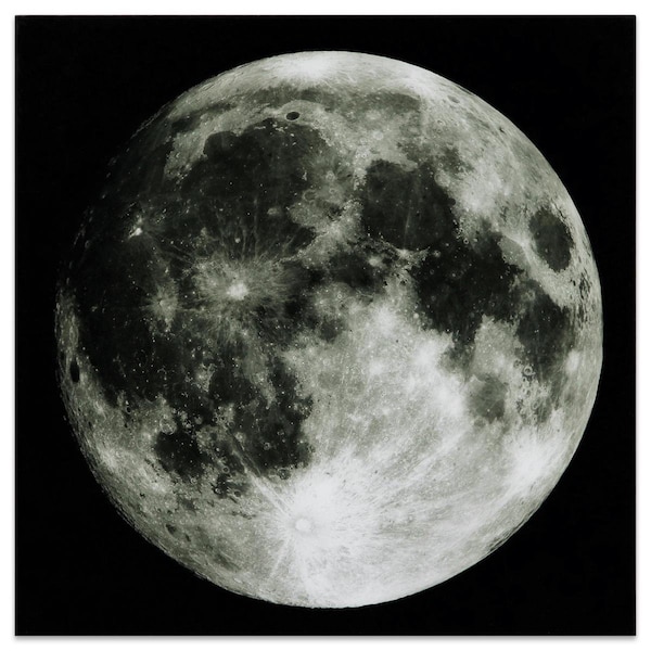 Solid Storage Supplies Frameless Free Floating Tempered Glass Art by EAD Art Coop - Full Moon - SO2243008