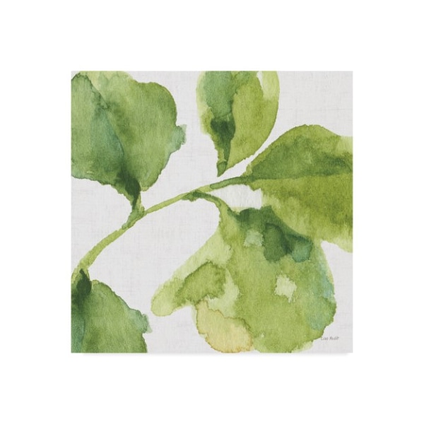 Trademark Fine Art Lisa Audit 'Blue And Green Garden Vii' Canvas Art, 35x35 - WAP09522-C3535GG